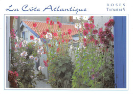 44-PAYSAGE DE LA COTE ATLANTIQUE-N°2864-C/0301 - Autres & Non Classés