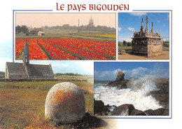 29-PANORAMA DU PAYS BIGOUDEN-N°2864-C/0103 - Sonstige & Ohne Zuordnung