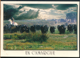 °°° 31260 - FRANCE - 13 - EN CAMARGUE - 2001 With Stamps °°° - Other & Unclassified