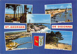 17-SAINT GEORGES DE DIDONNE-N°2864-B/0317 - Saint-Georges-de-Didonne