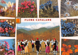 66-FLORE CATALANE-N°2864-B/0015 - Other & Unclassified