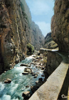 11-GORGES DE L AUDE-DEFILE DE PIERRE LYS-N°2865-B/0007 - Autres & Non Classés