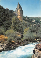 48-GORGES DU TARN-LA ROCHE AIGUILLE-N°2865-A/0063 - Gorges Du Tarn