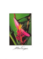 972-LA MARTINIQUE-N°2865-A/0049 - Sonstige & Ohne Zuordnung