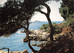 83-CALANQUE DE MEDITERRANEE-N°2864-D/0343 - Andere & Zonder Classificatie