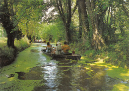 79-PAYSAGE DU MARAIS POITEVIN-N°2866-A/0083 - Autres & Non Classés