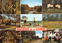 40-PANORAMA DES LANDES-N°2866-D/0041 - Other & Unclassified