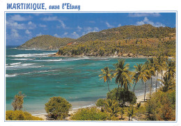 972-LA MARTINIQUE-N°2866-B/0393 - Other & Unclassified