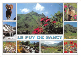 63-LE PUY DE SANCY-N°2866-B/0163 - Autres & Non Classés
