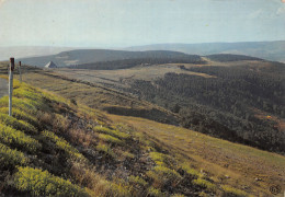 48-PAYSAGE DE LOZERE-N°2866-A/0303 - Autres & Non Classés