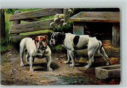 10141441 - Boxer / Bulldogge Zwei Bulldoggen Sign. - Dogs
