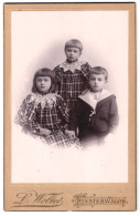 Fotografie L. Wolter, Finsterwalde, Zwei Kleine Mädchen In Karierten Kleidern Mit Spitzenüberwurf Mit Kleinem Jungen  - Personnes Anonymes