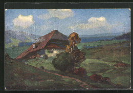 Künstler-AK Fritz Reiss: Sommer Im Schwarzwald, Landschaft Mit Haus  - Other & Unclassified