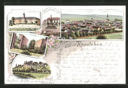 Lithographie Rossleben, Wendelstein, Memleben, Kloster, Panorama  - Rossleben