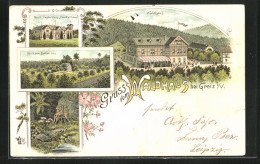 Lithographie Greiz I. V., Gasthof Waldhaus, Fürstl. Jagdschloss Ida-Waldhaus  - Jagd