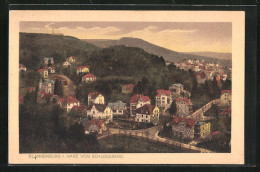 AK Blankenburg /Harz, Ortsansicht Vom Schlossberg  - Blankenburg