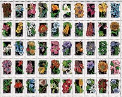 1992 Wildflowers - Sheet Of 50 , Mint Never Hinged - Unused Stamps