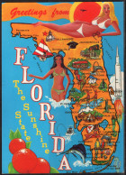 Map, United States, Florida, New - Maps