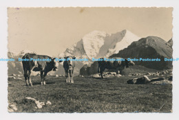 C002777 46. Kandersteg. Bergfrieden. O. Hari. Made In Switzerland. 1936 - World