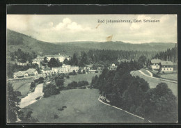 AK Bad Johannisbrunn /Oest.-Schlesien, Panorama  - Tchéquie