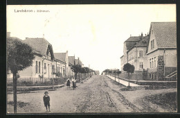 AK Landskron, Strassenpartie Mit Wohnhäusern  - Czech Republic