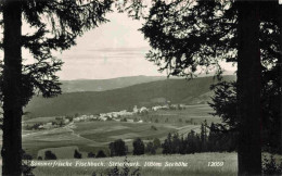 73981062 Fischbach_Steiermark_AT Panorama - Other & Unclassified