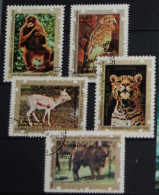 EQUATORIAL GUINEA 1976, Birds, Monkey, Tiger, Animals, Fauna, Used - Andere & Zonder Classificatie