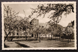 Leutesdorf Am Rhein, Exerzitienhaus " Immaculataheim" - Other & Unclassified