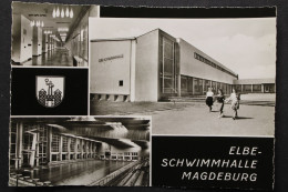 Magdeburg, Elbe-Schwimmhalle, 3 Bilder, Wappen - Sonstige & Ohne Zuordnung