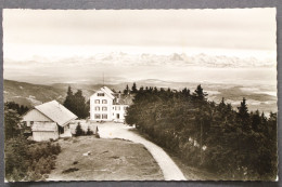 Berghotel Hochblauen, Badenweiler/Schwarzw., Blick Auf Das Berner Land - Other & Unclassified