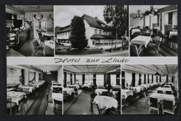 Neuhaus/Solling, Hotel "Zur Linde" - Otros & Sin Clasificación