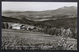 Brennes, Blick Von Der Pension Mooshütte In Den Lamer Winkel - Sonstige & Ohne Zuordnung