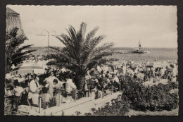 Grömitz, Ostseeheilbad, Strandleben - Sonstige & Ohne Zuordnung