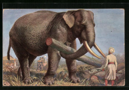 AK Elefant Trägt Einen Baumstamm Im Rüssel  - Elephants