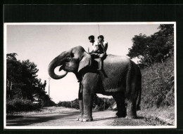 Foto-AK Chittagong Hill Tracts, Zwei Männer Reiten Auf Einem Elefanten  - Elephants