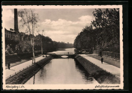 AK Königsberg In Fr., Schlossteichspromenade  - Ostpreussen