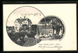 AK Lorch I. Wttbg., Haus Herwig  - Lorch