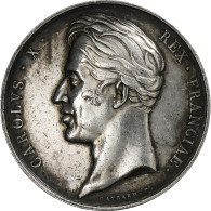 France, Médaille, Charles X, Sacre, 1825, Argent, Gayrard, SUP - Sonstige & Ohne Zuordnung