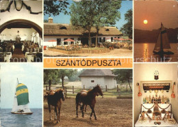 72261768 Szantodpuszta Restaurant Am Plattensee Segeln Pferde Sonnenuntergang Sz - Hungary
