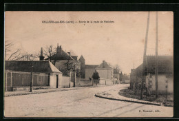 CPA Chilleurs-aux-Bois, Entrée La Route De Pithiviers  - Pithiviers