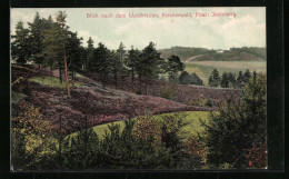 AK Jesteburg, Blick Nach Dem Waldfrieden, Kleckerwald  - Autres & Non Classés