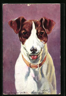 Künstler-AK Ermenegildo Carlo Donadini: Portrait Eines Freundlichen Jack Russell Terriers  - Autres & Non Classés