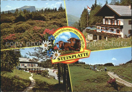 72257650 Waidring Tirol Alpengasthof Steinplatte Restaurant Cafe Wandergebiet Al - Altri & Non Classificati