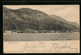 Cartolina Salò, Lago Di Garda  - Autres & Non Classés