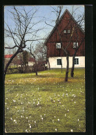 Künstler-AK Photochromie Nr. 2733: Wohnhaus Mit Blumenwiese Und Bäumen  - Other & Unclassified