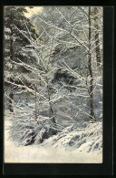 Künstler-AK Photochromie Nr. 2406: Ortspartie Mit Bäumen Im Schnee  - Autres & Non Classés