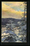 Künstler-AK Photochromie Nr. 2408: Winterliche Landschaft Mit Tannen  - Other & Unclassified