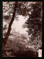 Fotografie Brück & Sohn Meissen, Ansicht Meissen I. Sa., Blick Aus Dem Wald Nach Dem Burgberg Mit Albrechtsburg  - Lieux