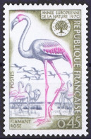 Greater Flamingo, Birds, Environment Protection, France 1970 MNH 1v - - Flamingos