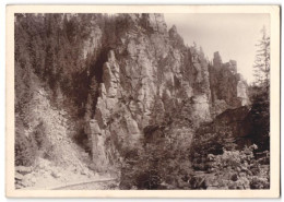 Fotografie Brück & Sohn Meissen, Ansicht Olbernhau / Erz., Partie An Der Teufelsmauer Im Katzensteintal  - Places